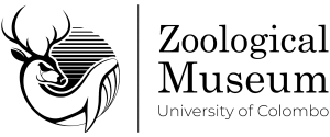 Logo for Zoological Museum of the University of Colombo